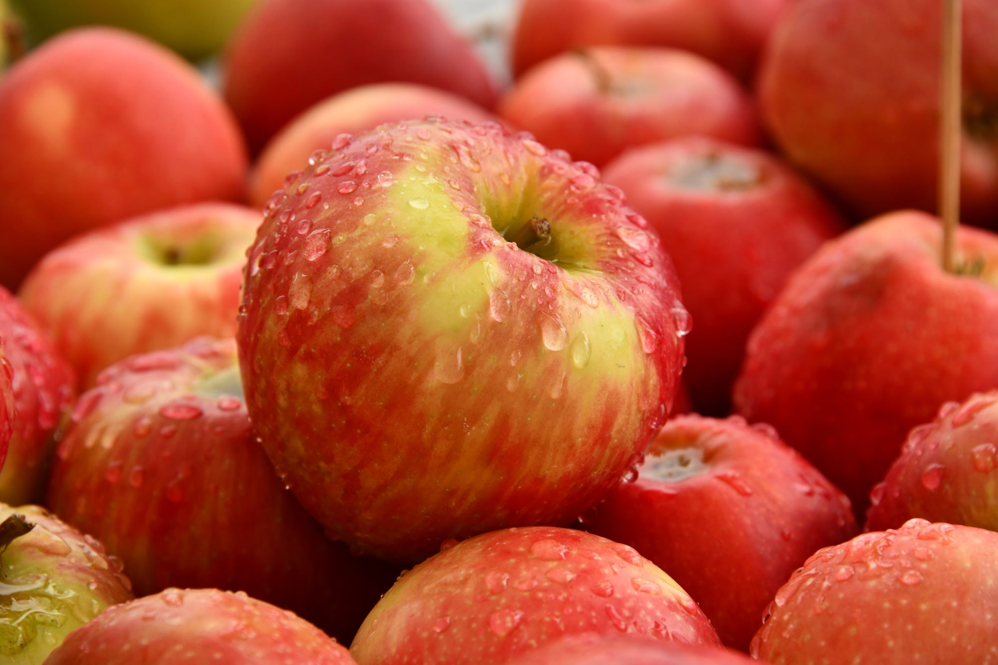 Wieso immer mehr Menschen gegen Äpfel allergisch sind